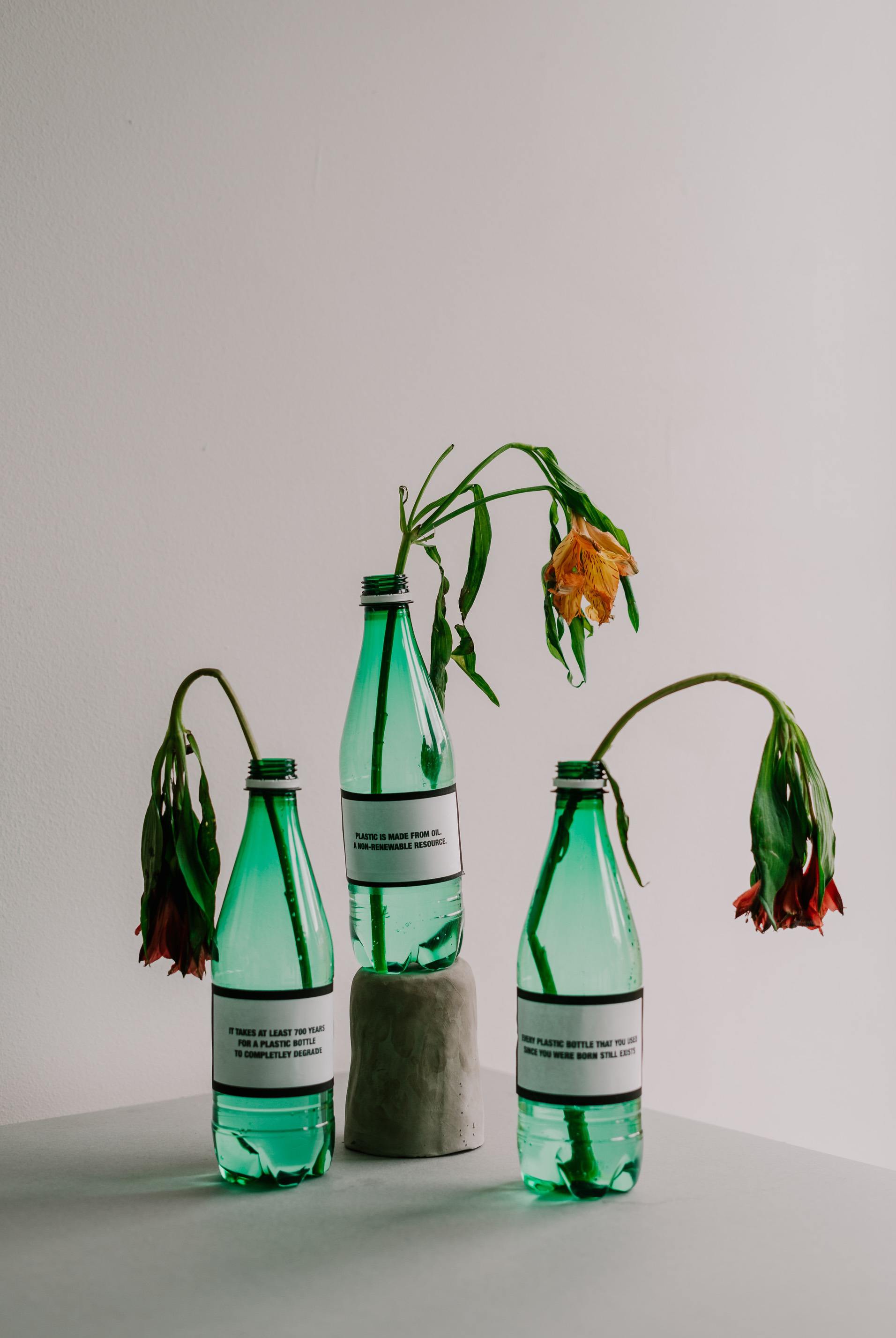 boxed water-is-better-YYH1OVHNqKs-unsplash